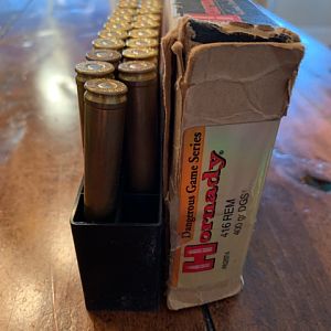 Hornady 400gr DGS