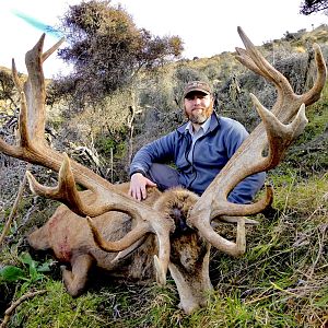 320" Inch Red Stag Hunting New Zealand