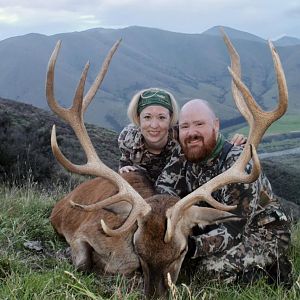 Hunt Red Stag in New Zealand