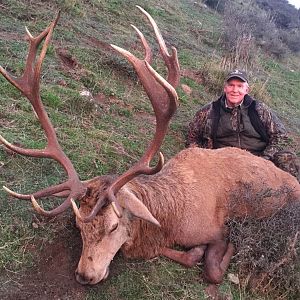 New Zealand Hunting Red Stag