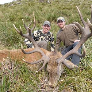 New Zealand Hunting Red Stag