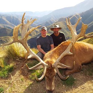 Red Stag Hunt New Zealand