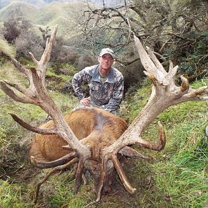 New Zealand Hunting Red Stag