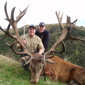 New Zealand Hunt 473" Inch Red Stag