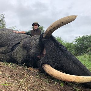 Hunt Elephant in Zimbabwe