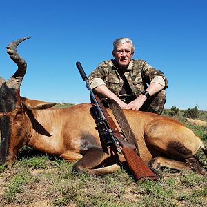 Hunting Red Hartebeest in South Africa