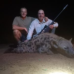 Hunt Spotted Hyena in South Africa