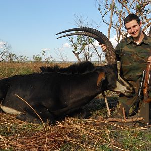 Roosevelt's Sable from Kilwa Tanzania