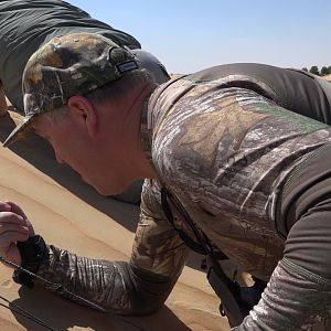 United Arab Emirates Bow Hunting Arabian Oryx