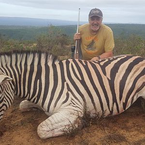 South Africa Hunting Burchell's Plain Zebra