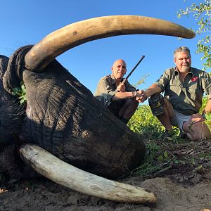 Hunt Elephant in Zimbabwe