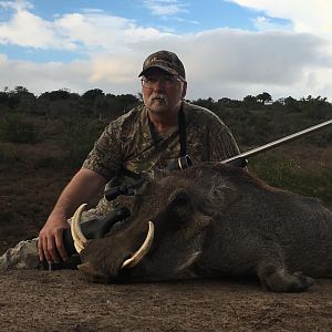 Hunting Warthog in South Africa