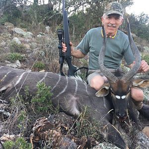 Nyala Hunting South Africa