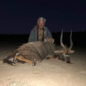 Nyala Hunt South Africa