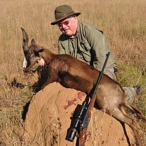 Hunt Black Springbok in South Africa