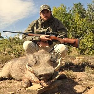 South Africa Hunt Warthog