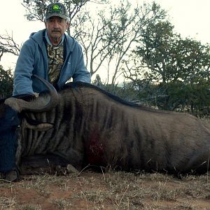 Blue Wildebeest Hunting South Africa