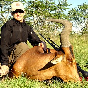 Hunt Red Hartebeest in South Africa