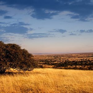 South Africa Hunting Area