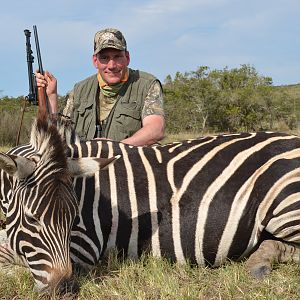 Hunt Burchell's Plain Zebra in South Africa