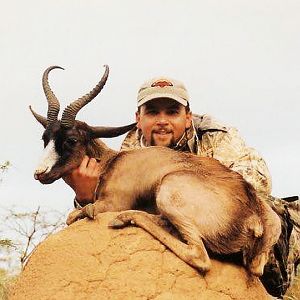 Hunt Copper Springbok in South Africa