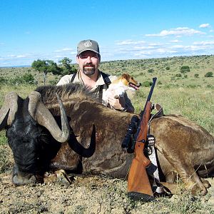 Hunt Black Wildebeest in South Africa