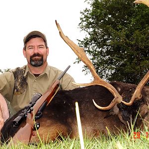 Fallow Deer Hunting South Africa