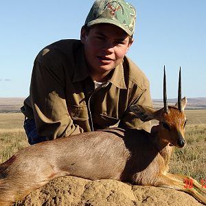 Hunting Steenbok in South Africa