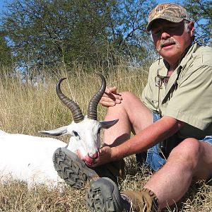 White Springbok Hunt South Africa