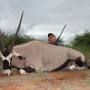 Gemsbok Bull of my Father South Africa