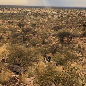 Kudu in the mountains of the Northern Cape