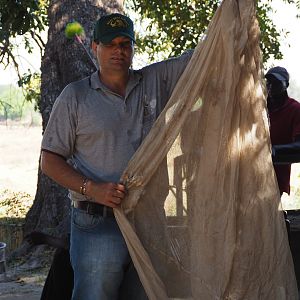 Zambia hunt - Sept 2018