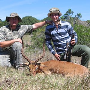 First African Safari Impala South Africa