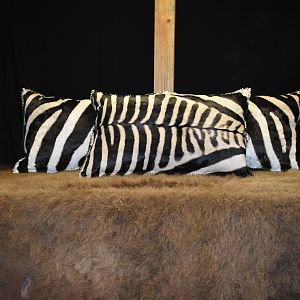 Zebra Pillow