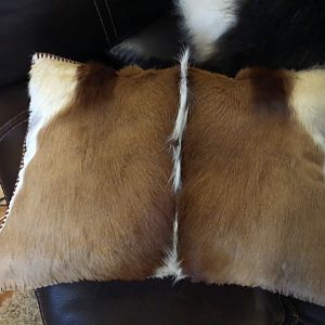 Springbok Pillow