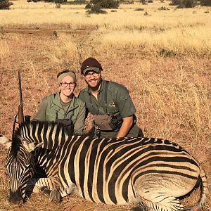 Burchell's Plain Zebra Hunting South Africa