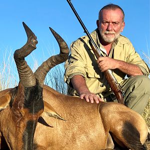 South Africa Hunt Red Hartebeest