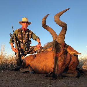 Red Hartebeest Hunt South Africa