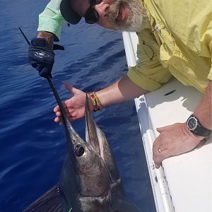 Sailfish Fishing Costa Rica