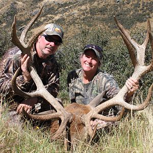 New Zealand Hunting Red Stag