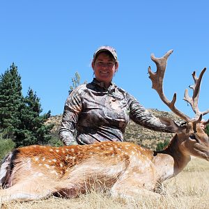 Hunt Fallow Deer in New Zealand