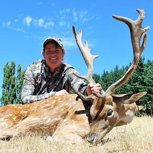 Fallow Deer Hunting New Zealand