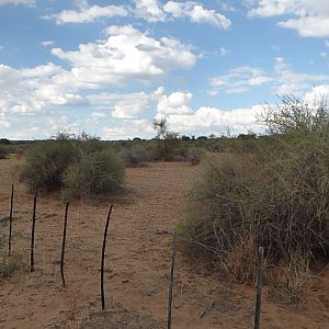 Hunting in Namibia