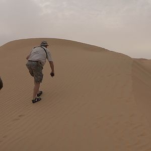 Tracking Mountain Gazelle United Arab Emirates