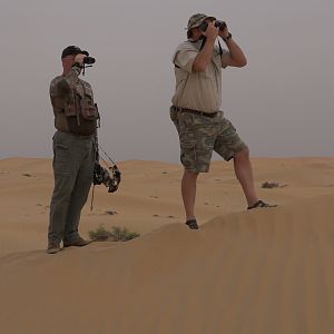 Tracking Mountain Gazelle United Arab Emirates