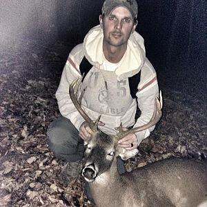 Whitetail buck WV