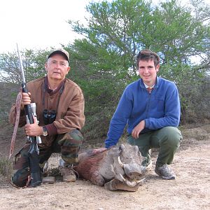 The First African Animal of my Father Warthog Eastern Cape