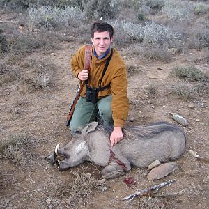 My First African Animal Warthog Eastern Cape