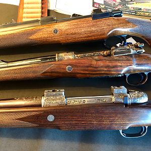 Big Bore Rifles