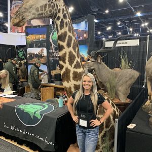 Giraffe Mount Taxidermy